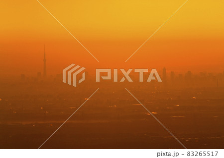 奥武蔵の山・関八州見晴台から朝焼けの東京遠望 奥武蔵の山・関八州見晴台から朝焼けの東京遠望 83265517