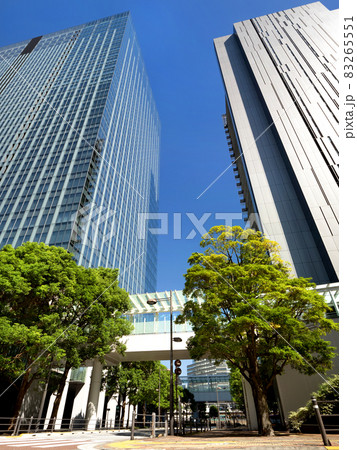 大崎の高層ビル街 東京都品川区 大崎の高層ビル街 東京都品川区 83265551