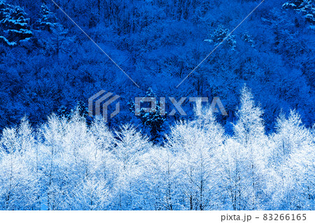 雪景色 雪景色 83266165