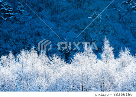 雪景色 雪景色 83266166