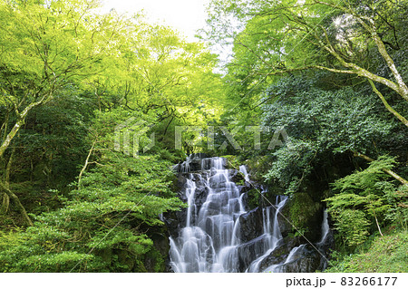 糸島の人気スポット　美しい白糸の滝　（福岡県糸島市） 83266177
