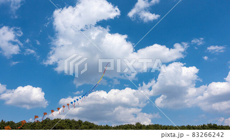 連凧|晴れた日の凧揚げの風景 連凧|晴れた日の凧揚げの風景 83266242