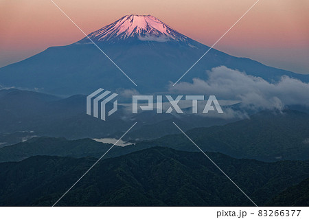 初夏の西丹沢・檜洞丸稜線から見る夜明けの富士山 83266377