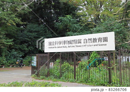 国立科学博物館付属自然教育園 正門 国立科学博物館付属自然教育園 正門 83266706