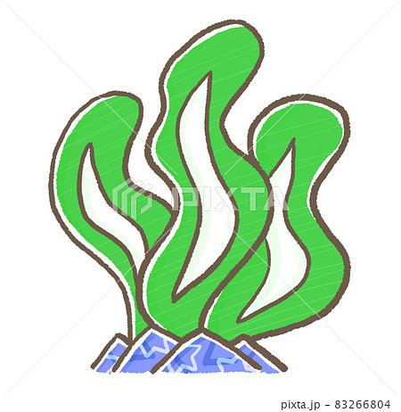 R もっとメルヘンな水族館 ワカメ コンブ のイラスト素材