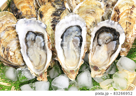 生牡蠣　生食用 83266952