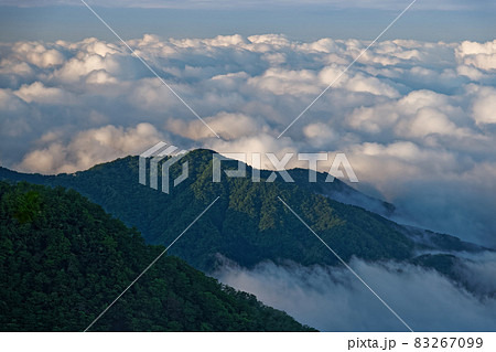 西丹沢・檜洞丸稜線から見る雲海と新緑の山並み 83267099
