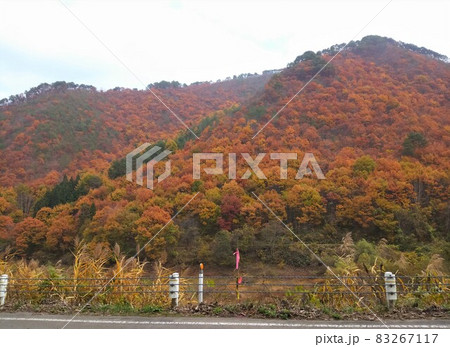 会津若松市の山全体が紅葉した美しい景色 83267117