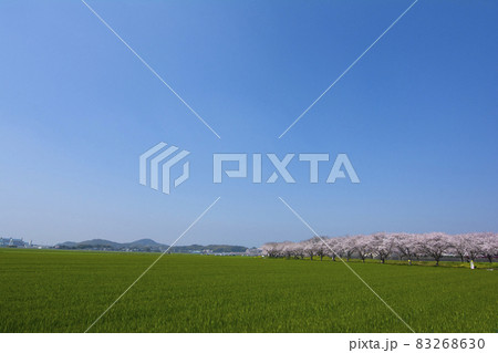 福岡 83268630