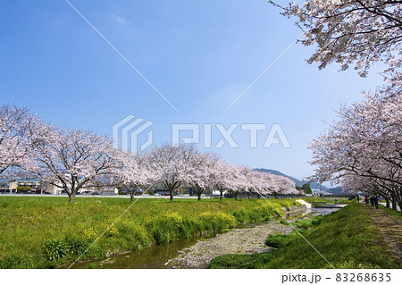 福岡 福岡 83268635