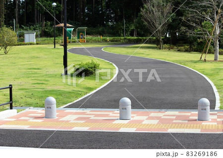 曲線の魅力　昭和の森アプローチ 83269186