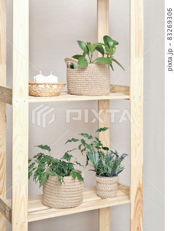 Plant stand with various plant pots, wooden decorative ladder light stand to grow several plants together vertically. Interior design, room decoration, scandinavian minimal style. Plant stand with various plant pots, wooden decorative ladder light stand to grow several plants together vertically. Interior design, room decoration, scandinavian minimal style. 83269306
