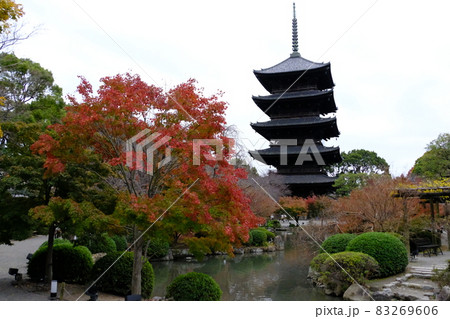 京都東寺紅葉 83269606