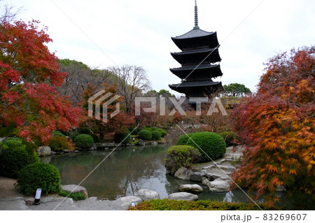 京都東寺紅葉 83269607