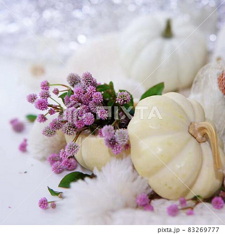 おしゃれなハロウィンとヒメツルソバの飾り　＊正方形構図 83269777