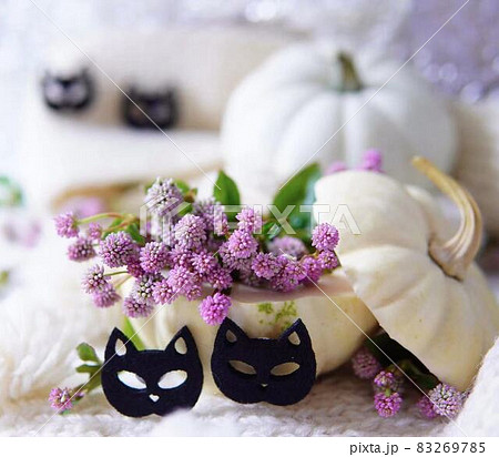 おしゃれなハロウィンとヒメツルソバの飾り　＊横長長方形構図 83269785