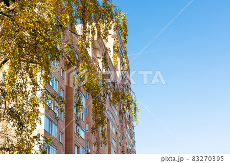 yellow leaves and high-rise apartment house yellow leaves and high-rise apartment house 83270395