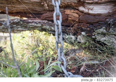 Selective focus of a vertically hanging metal chain Selective focus of a vertically hanging metal chain 83273075