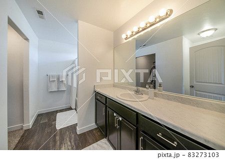 Large master bathroom with vanity unit and reach-in closet Large master bathroom with vanity unit and reach-in closet 83273103