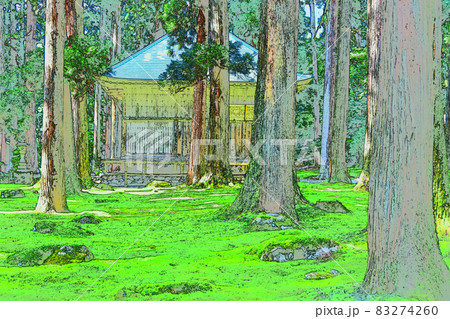 平泉寺白山神社　拝殿　苔寺　新緑 83274260