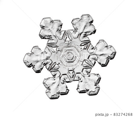 Black snowflake isolated on white background. Illustration based on macro photo of real snow crystal: elegant star plate with short, broad arms, glossy relief surface and complex inner details. Black snowflake isolated on white background. Illustration based on macro photo of real snow crystal: elegant star plate with short, broad arms, glossy relief surface and complex inner details. 83274268