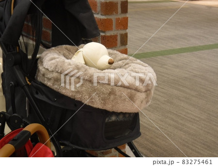 温かいペットバギー　〜Warm pet buggy 83275461