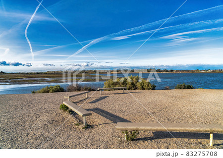 Wood benches with panoramic view of Bolsa Chica Nature Reserve Huntington Beach 83275708