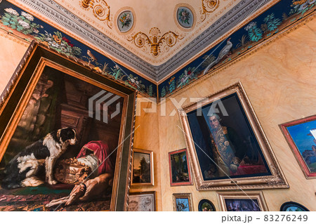 interiors of palazzo Borromeo, lake maggiore, Stresa, italy 83276249
