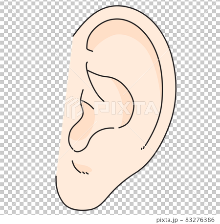 Human ear 83276386