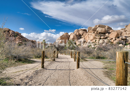 Hiking trail with scenic nature views at Joshua Tree National Park California 83277142