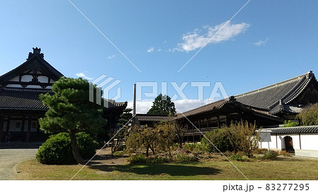 姫路_亀山本徳寺 姫路_亀山本徳寺 83277295