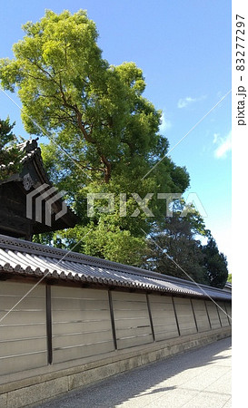 姫路_亀山本徳寺 姫路_亀山本徳寺 83277297