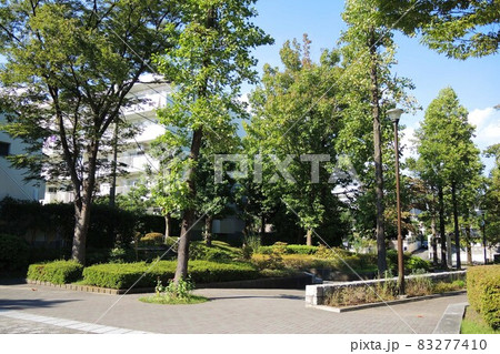 【横浜】あざみ野三丁目東公園 【横浜】あざみ野三丁目東公園 83277410