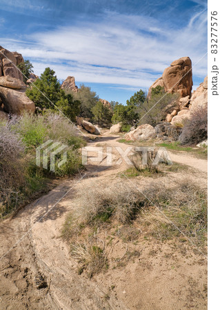 Joshua Tree National Park with hiking pathway in the desert amid giant rocks Joshua Tree National Park with hiking pathway in the desert amid giant rocks 83277576