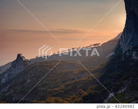 Forest landscape with fir trees and stones. Forest landscape with fir trees and stones. 83280982