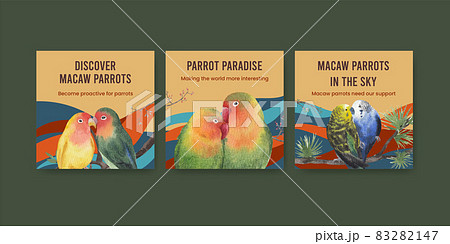 Banner template with macaw parrot bird concept,watercolor style 83282147