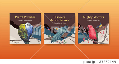 Banner template with macaw parrot bird concept,watercolor style Banner template with macaw parrot bird concept,watercolor style 83282149