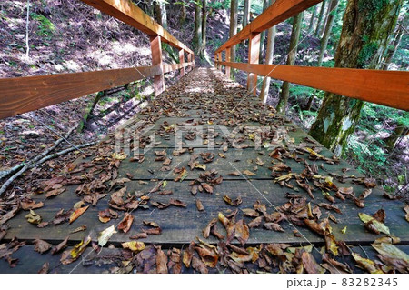熊伏山塩の道の橋の落ち葉 83282345