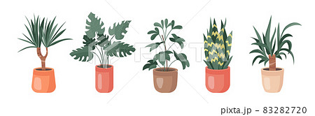 Trendy collection of home cute plants and succulents in flowerpots pack icons. Set of houseplants and succulents in pots modern illustrations. Cozy vector decoration elements in flat swiss style. 83282720