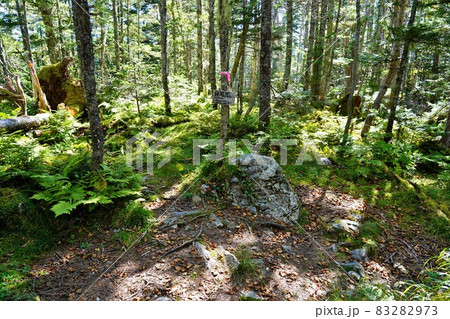 奥茶臼山の奥尾高山頂標識 83282973