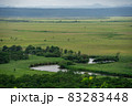 釧路湿原の緑 83283448