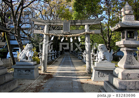 豊中市 桜塚街道 つつじの杜 春日神社 鳥居越しに 別構図 豊中市 桜塚街道 つつじの杜 春日神社 鳥居越しに 別構図 83283696
