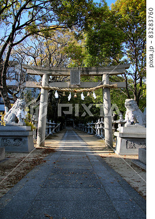 豊中市　桜塚街道　つつじの杜　春日神社　鳥居越しに　縦位置 83283760