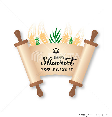 Happy Shavuot calligraphy hand lettering on old scroll paper Torah. Jewish holiday greeting card. Easy to edit vector template for banner, typography poster, invitation, flyer. Happy Shavuot calligraphy hand lettering on old scroll paper Torah. Jewish holiday greeting card. Easy to edit vector template for banner, typography poster, invitation, flyer. 83284830