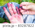 Close-up of a palm painted in purple from blueberry juice, in the forest. Harvesting berries on a 83287822