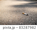 Cigarette butt thrown on the asphalt pavement. Bad habit dangerous for human health and 83287982