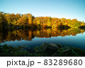Yellow autumn forest reflected on blue lake 83289680