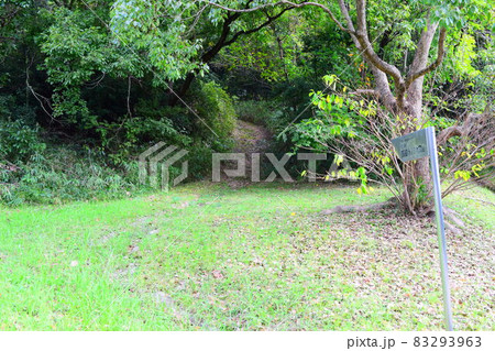 高蔵寺73号窯跡 83293963