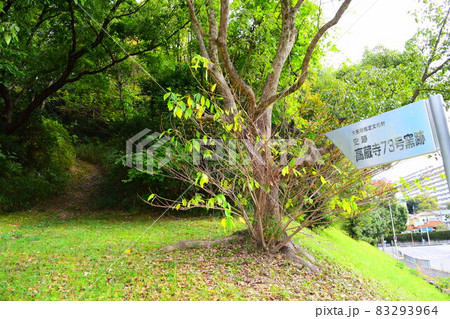 高蔵寺73号窯跡 83293964