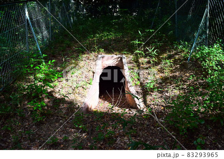 高蔵寺73号窯跡 83293965